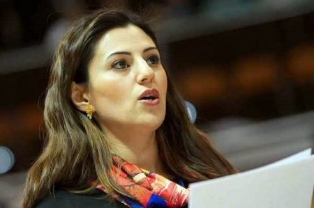 Millət vəkili: Ermənistan, Paşinyan hökuməti ciddi nəticə çıxarmalıdır