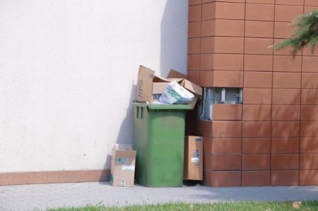 Bakının bitməyən “zibil dərdi” - FOTO