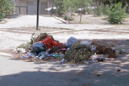 Bakının bitməyən “zibil dərdi” - FOTO