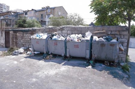 Bakının bitməyən “zibil dərdi” - FOTO
