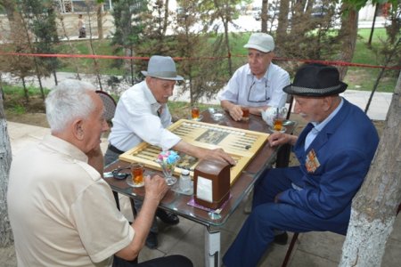 Mir Cəlal  küçəsindəki parkda Həvəskarlar arasında NƏRD yarışı keçirilmişdir -FOTOLAR