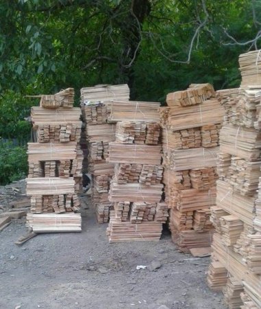 İsmayıllıda sexdə qanunsuz meşə materialı aşkarlanıb - FOTO