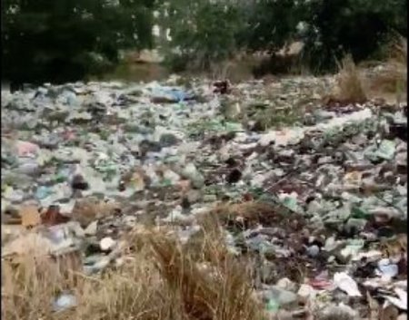 Nabran meşələrindən utancverici görüntülər - VİDEO