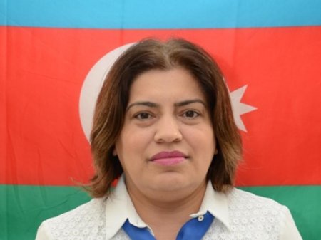 Günahkar işdən qovulan direktordu? - Deputat DANIŞIR