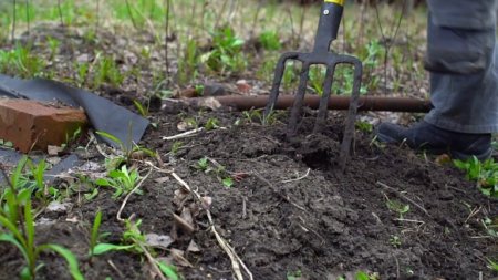 Azərbaycanda 25 yaşlı oğlan öldürülüb –Meyit hissələrə bölünərək üç rayonda basdırılıb