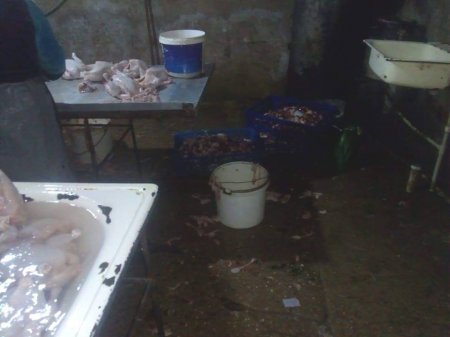 Daha bir qanunsuz toyuq sexi aşkarlandı – Dəhşətli mənzərə + FOTOLAR