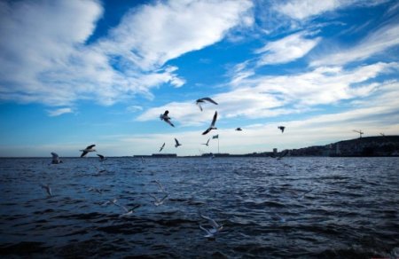 Bazar gününün hava proqnozu