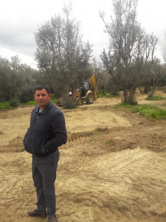 Binəqədi rayonunda “Zeytunluq qətliamı”