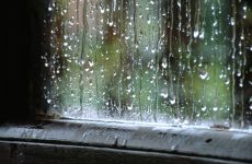 Rayonlarda yağış, dolu yağacaq, şimşək çaxacaq