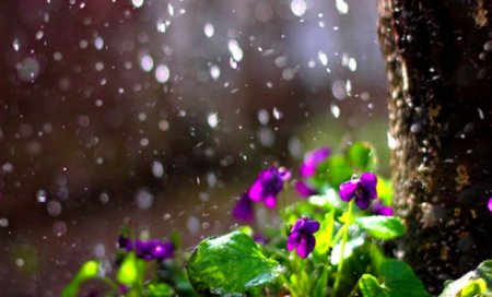 Şimşək çaxacaq, leysan yağacaq — Bu günün hava proqnozu