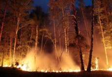 Nazirlikdən əhaliyə VACİB XƏBƏRDARLIQ