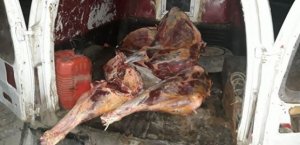 Mənşəyi bilinməyən 180 kilo at əti aşkarlandı