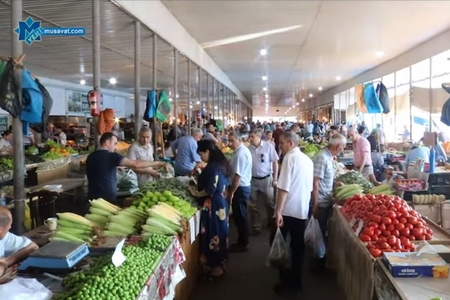 Mövsüm meyvələrinin qiyməti niyə bahadır? Səbəblər… -VİDEOREPORTAJ