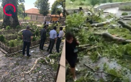 “Camaat ağac altında qalıb, kömək etməkdənsə, telefona çəkirdilər” - Direktor