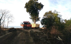 В Азербайджане вынесен приговор присвоившему 33 тыс. манатов под видом пересадки деревьев  