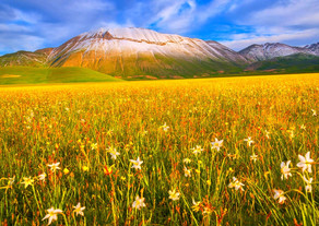 Прогноз погоды в Азербайджане на завтра  