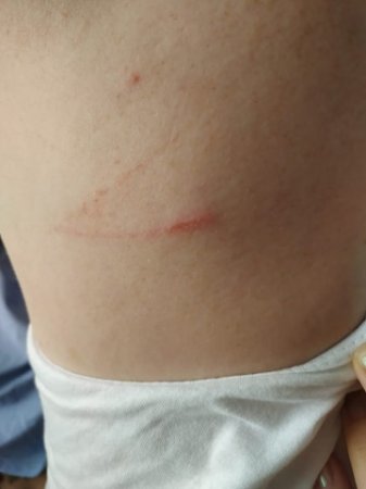 Sabiq deputatın oğlu rəsmən qoçuluq edir... - Vətəndaş polis idarəsinin darvazasının yanında vuraraq qaçıb Sabiq deputatın oğlu rəsmən qoçuluq edir... - Vətəndaş polis idarəsinin darvazasının yanında vuraraq qaçıb