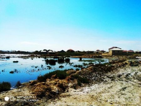 Şəhid ailələrinə ev tikmək üçün bataqlıqdan torpaq verilib - Azərbaycanda rəzalət