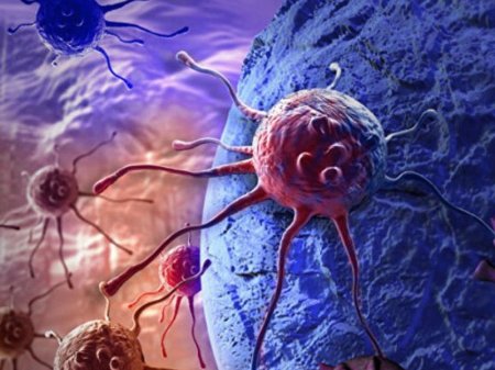 Xərçəngin əsas səbəbi açıqlandı: 30 illik araşdırma