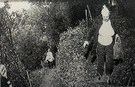 Adnan Oktarın gizli tuneli üzə çıxdı - Fotolar 