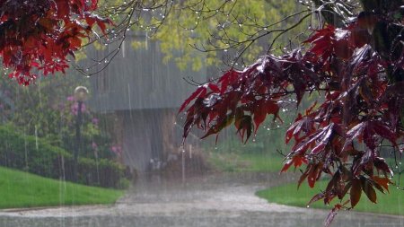 Leysan, dolu, külək gəlir - SABAHIN HAVASI