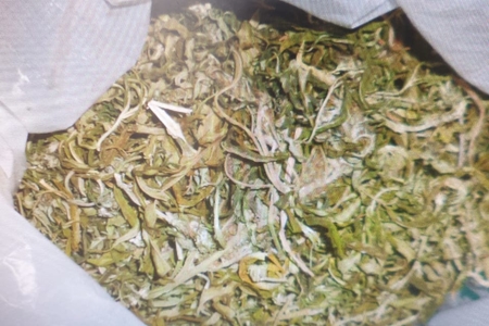 Saatlıda külli miqdarda narkotik maddə aşkarlanıb