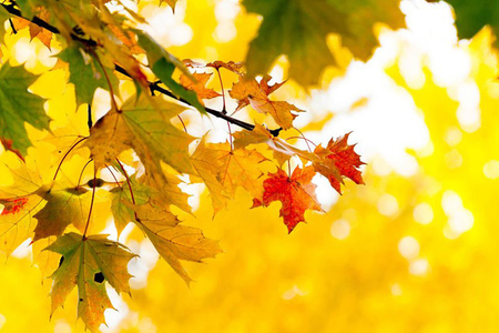 Bu gün Azərbaycana payız başlayır