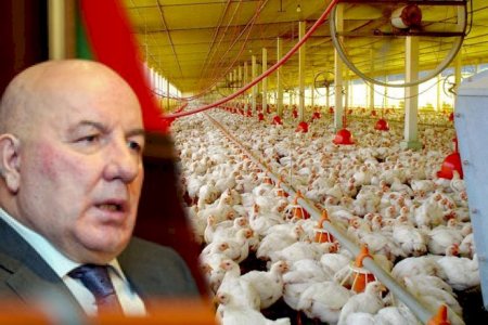 Baş bankir toyuqlarına görə cərimələndi