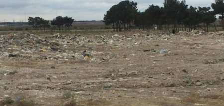 Binədə “Xəyallar adası”nın ətrafını zibilxanaya çevirənlər kimlərdir… 