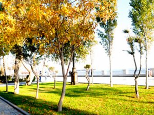 Sabah Bakıda 22 dərəcə isti olacaq