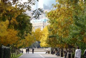 Sabah hava əsasən yağmursuz keçəcək