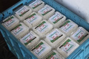 “İvanovka” adı altında saxta məhsullar istehsal edən sex bağlandı