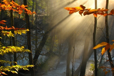 Noyabr ayına olan hava proqnozu açıqlanıb Noyabr ayına olan hava proqnozu açıqlanıb