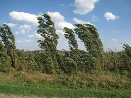 Güclü külək olacaq - Sabahın HAVAsı