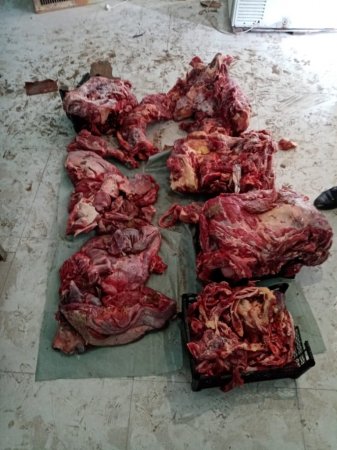 Daha bir leş alverçisi yaxalandı: Bu dəfə “Bala Tofiq” (FOTOLAR) 