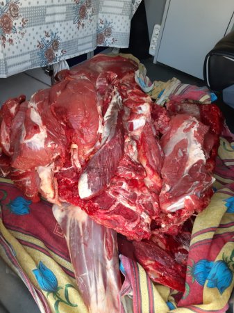 Şəmkirdə mənşəyi məlum olmayan ətin satışının qarşısı alınıb - FOTOLAR