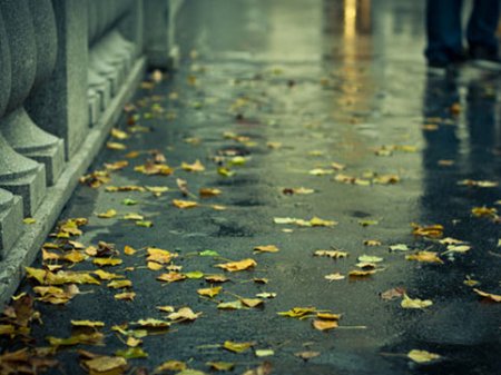 Bakıda yağış yağacaq - HAVA PROQNOZU