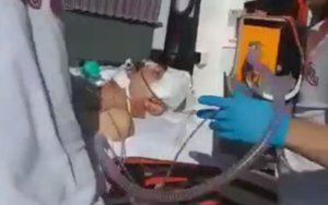 Oqtay Gülalıyev Türkiyədə xəstəxanaya yerləşdirildi - YENİLƏNİB