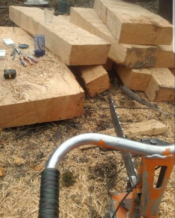 Masallıda dəhşətli “ekoloji terror” hökm sürür - NAZİRƏ MÜRACİƏT