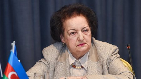 Elmira Süleymanova istefa ərizəsi yazdı