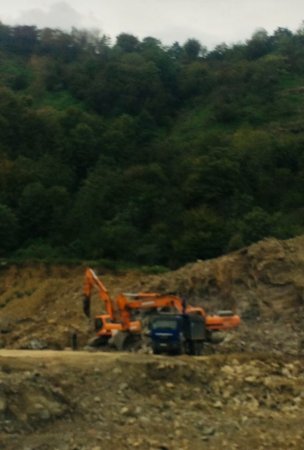 Masallıda dəhşətli “ekoloji terror” hökm sürür - NAZİRƏ MÜRACİƏT