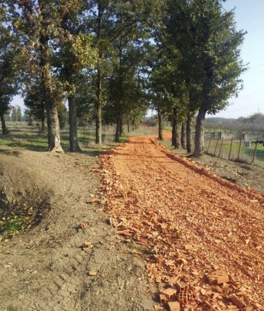 Masallıda dəhşətli “ekoloji terror” hökm sürür - NAZİRƏ MÜRACİƏT