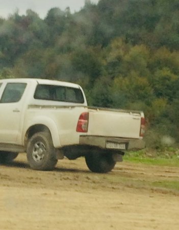 Masallıda dəhşətli “ekoloji terror” hökm sürür - NAZİRƏ MÜRACİƏT