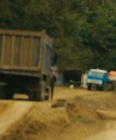 Masallıda dəhşətli “ekoloji terror” hökm sürür - NAZİRƏ MÜRACİƏT