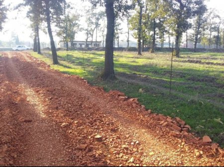 Masallıda dəhşətli “ekoloji terror” hökm sürür - NAZİRƏ MÜRACİƏT