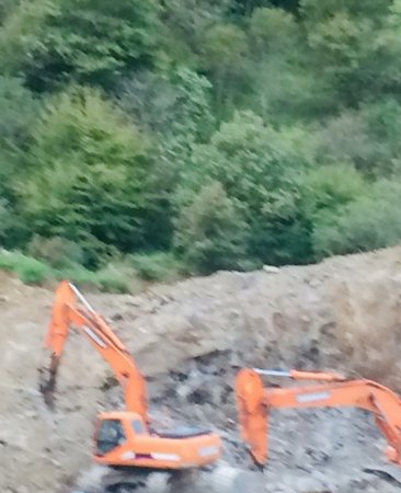 Masallıda dəhşətli “ekoloji terror” hökm sürür - NAZİRƏ MÜRACİƏT