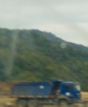 Masallıda dəhşətli “ekoloji terror” hökm sürür - NAZİRƏ MÜRACİƏT