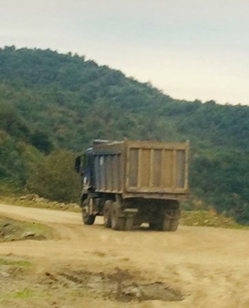 Masallıda dəhşətli “ekoloji terror” hökm sürür - NAZİRƏ MÜRACİƏT