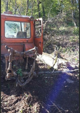 Masallıda dəhşətli “ekoloji terror” hökm sürür - NAZİRƏ MÜRACİƏT