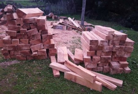 Masallıda dəhşətli “ekoloji terror” hökm sürür - NAZİRƏ MÜRACİƏT